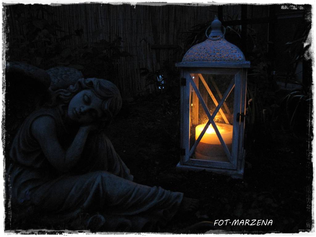 Metamorfoza ogrodu zogrodemnaty25