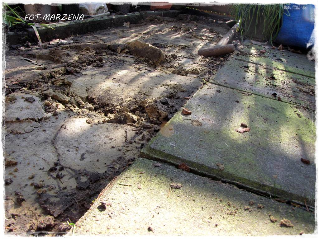 Metamorfoza ogrodu zogrodemnaty3