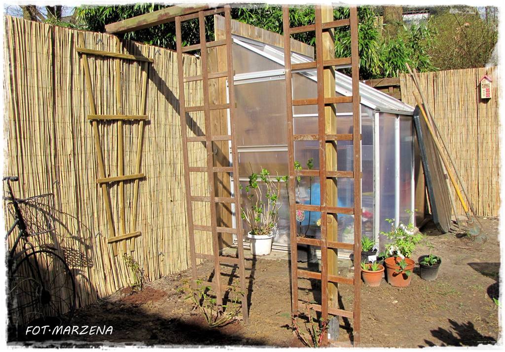 Metamorfoza ogrodu zogrodemnaty7