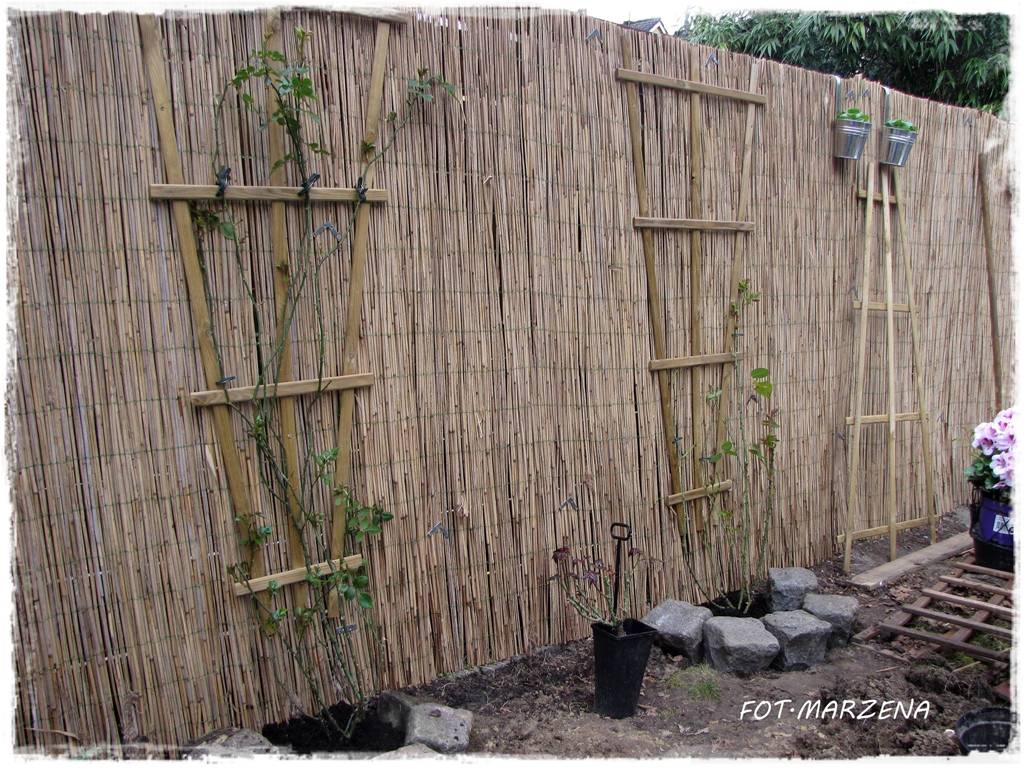 Metamorfoza ogrodu zogrodemnaty8