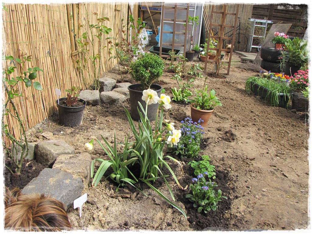 Metamorfoza ogrodu zogrodemnaty9