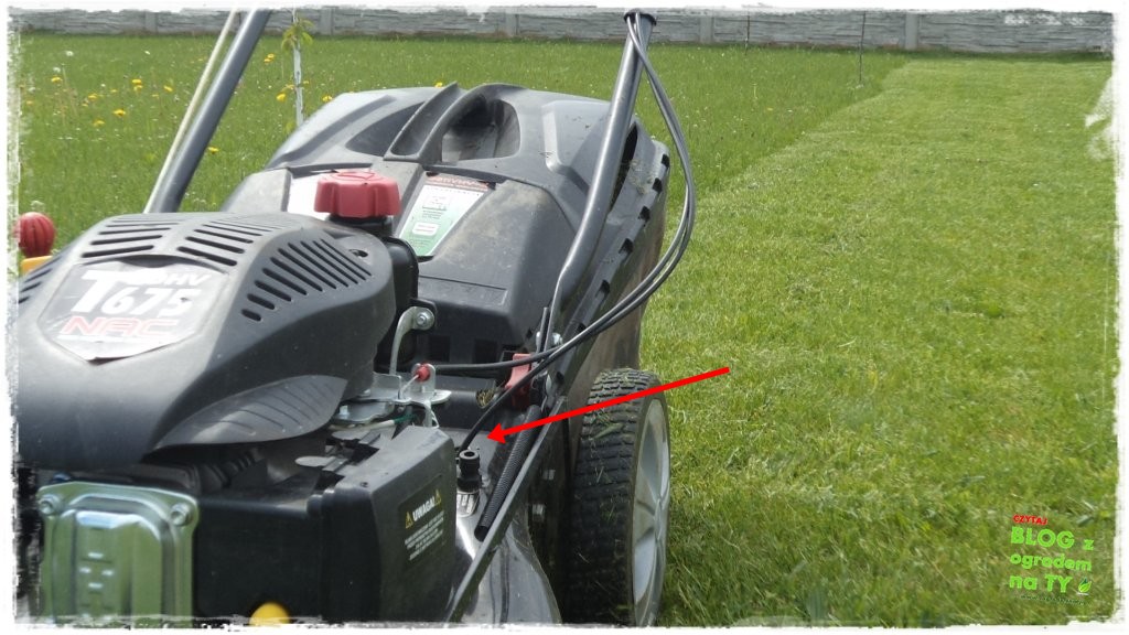 jak przygotować kosiarkę do zimy zogrodemnaty11