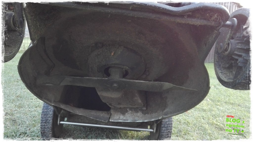 jak przygotować kosiarkę do zimy zogrodemnaty9