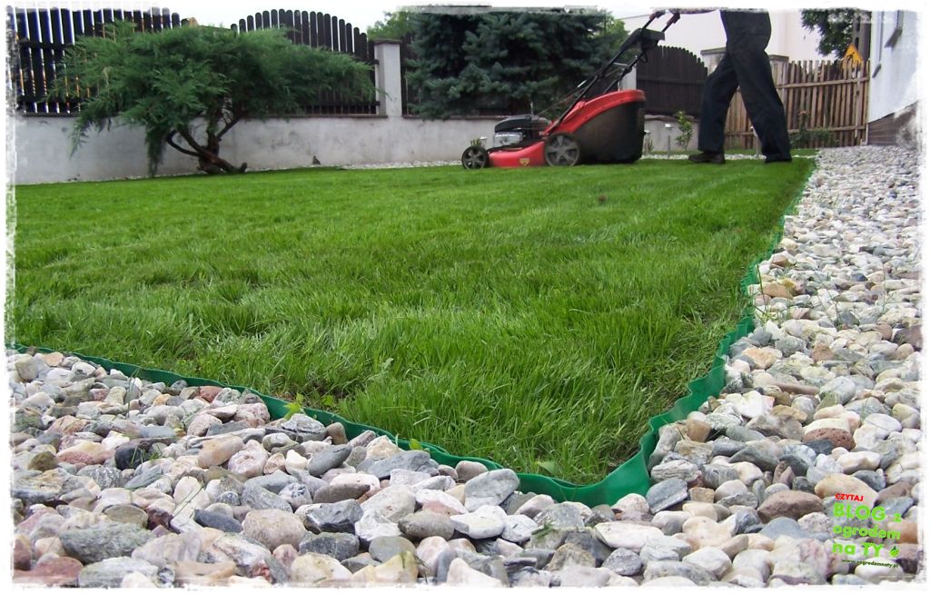 jak przygotować kosiarkę do zimy zogrodemnaty2