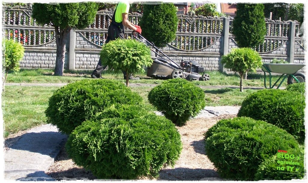 jak przygotować kosiarkę do zimy zogrodemnaty3