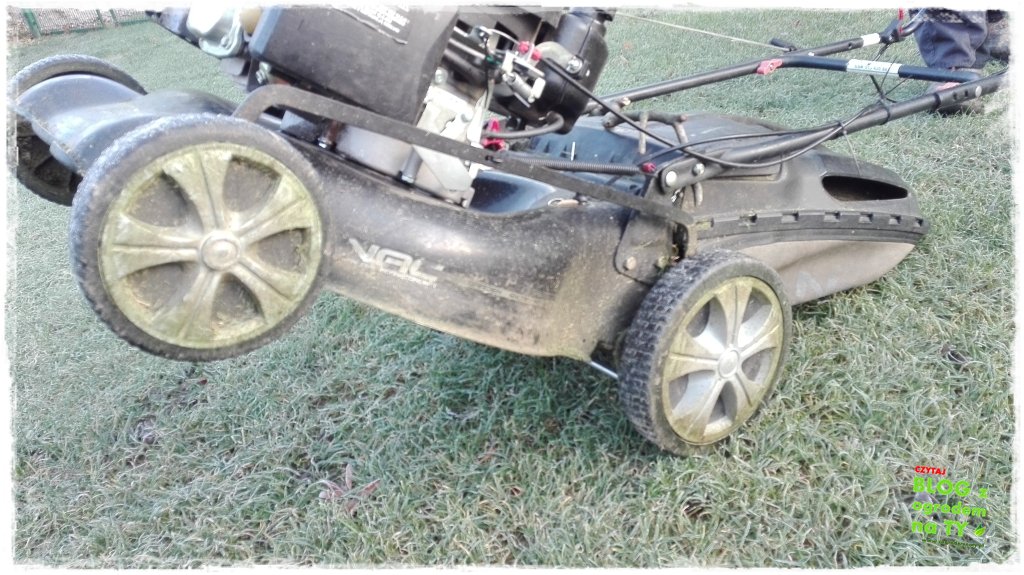 jak przygotować kosiarkę do zimy zogrodemnaty7