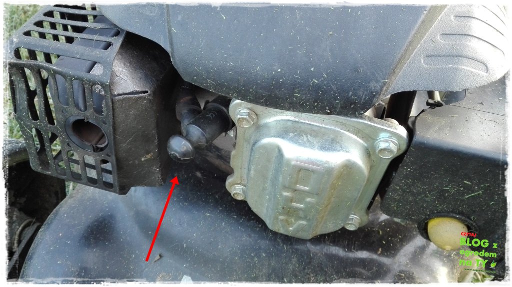 jak przygotować kosiarkę do zimy zogrodemnaty6a