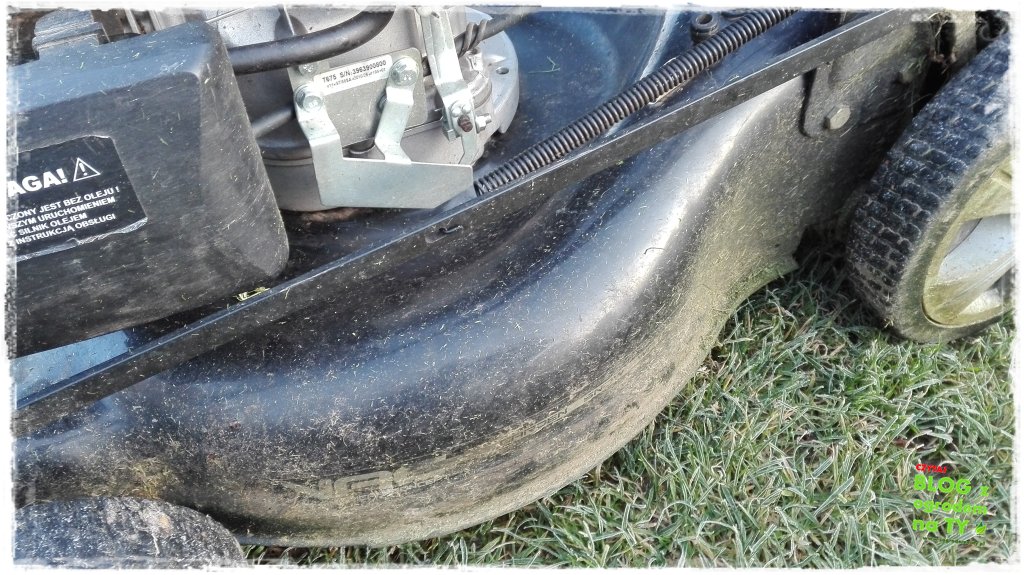 jak przygotować kosiarkę do zimy zogrodemnaty5