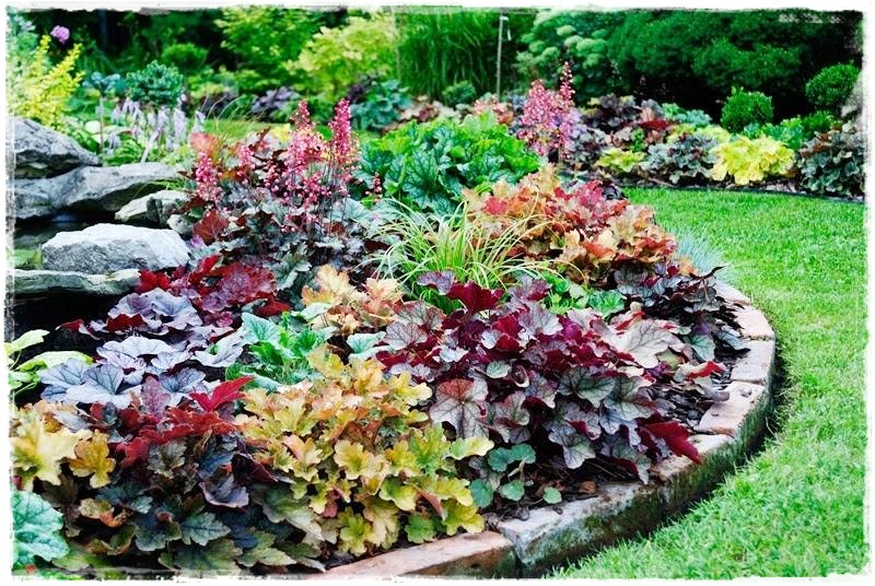 żurawki zogrodemnaty13