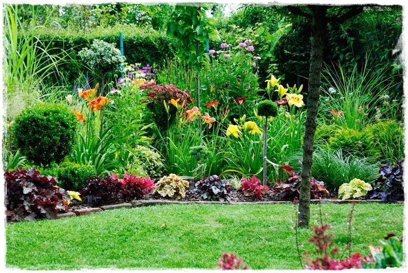 żurawki zogrodemnaty15