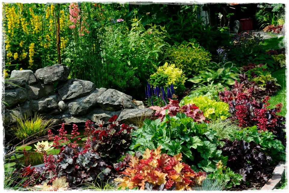 żurawki zogrodemnaty16