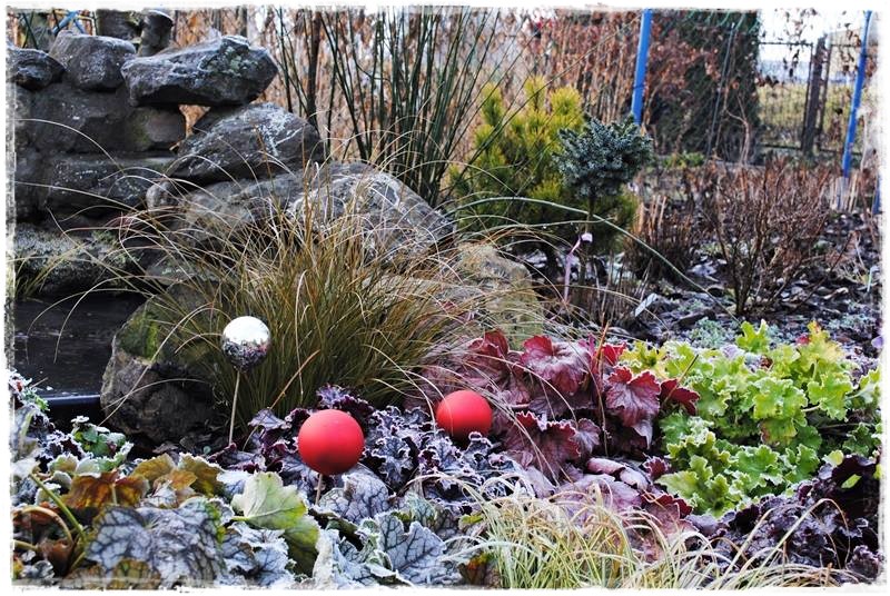 żurawki zogrodemnaty9