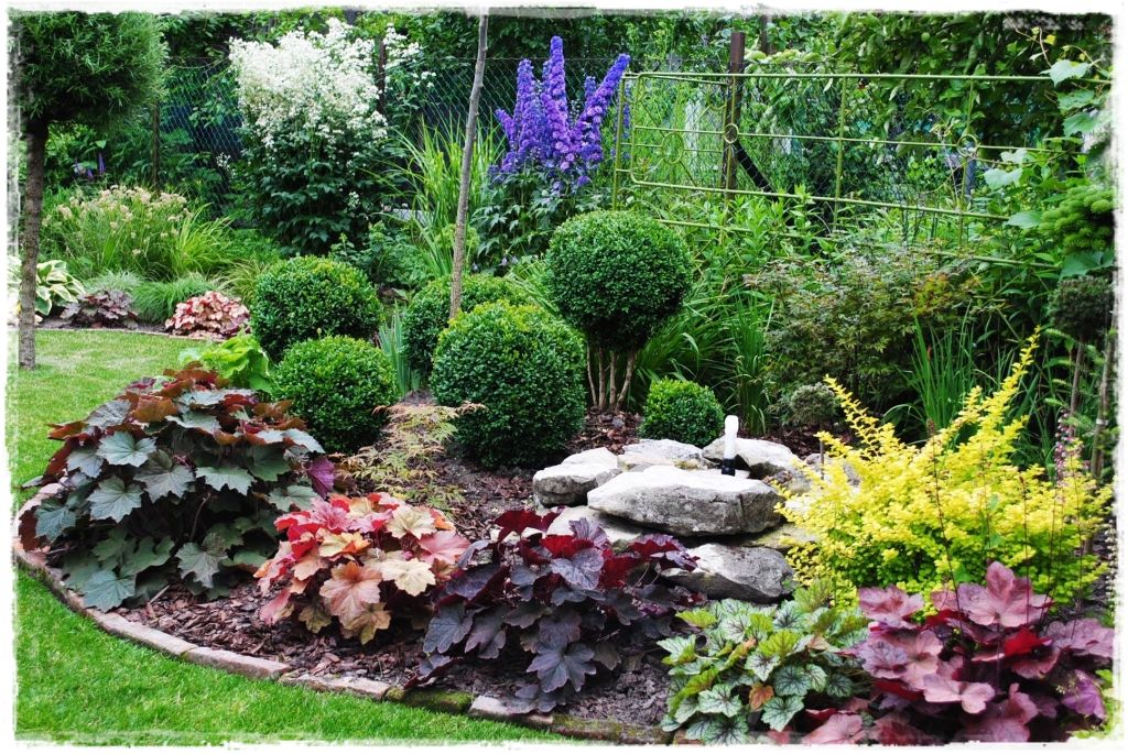 żurawki zogrodemnaty20