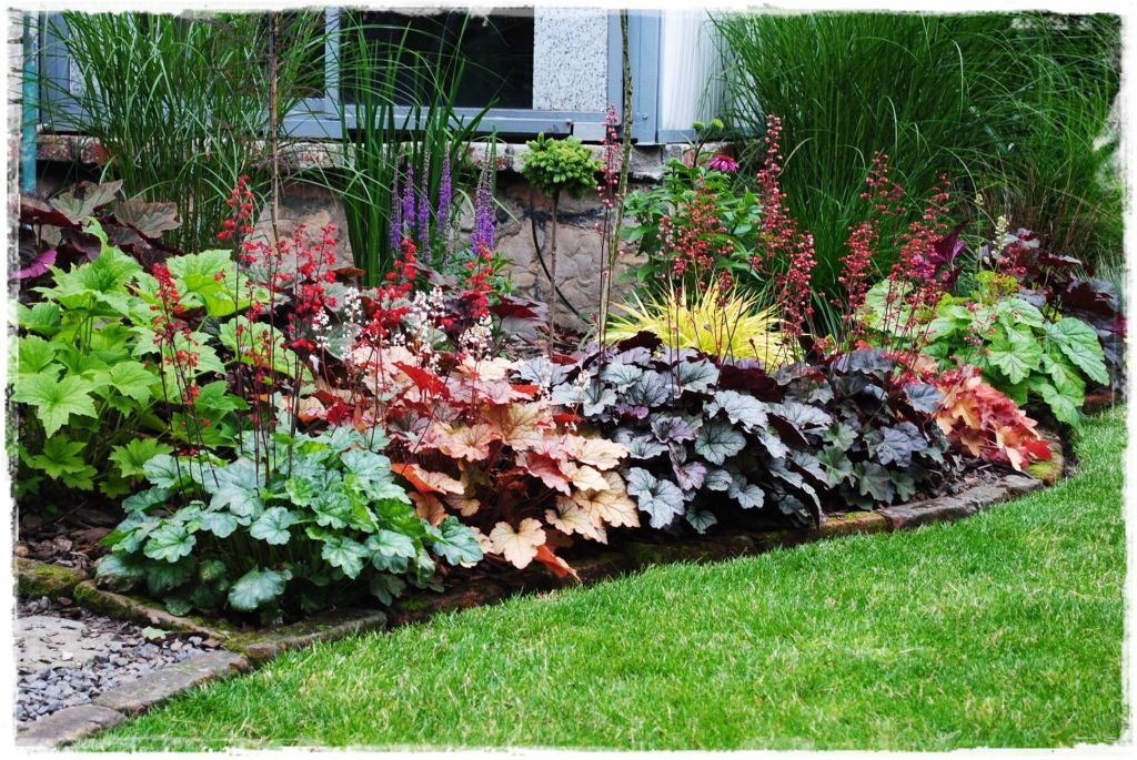 żurawki zogrodemnaty14