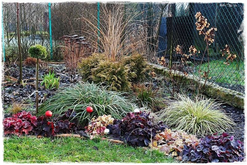 żurawki zogrodemnaty10