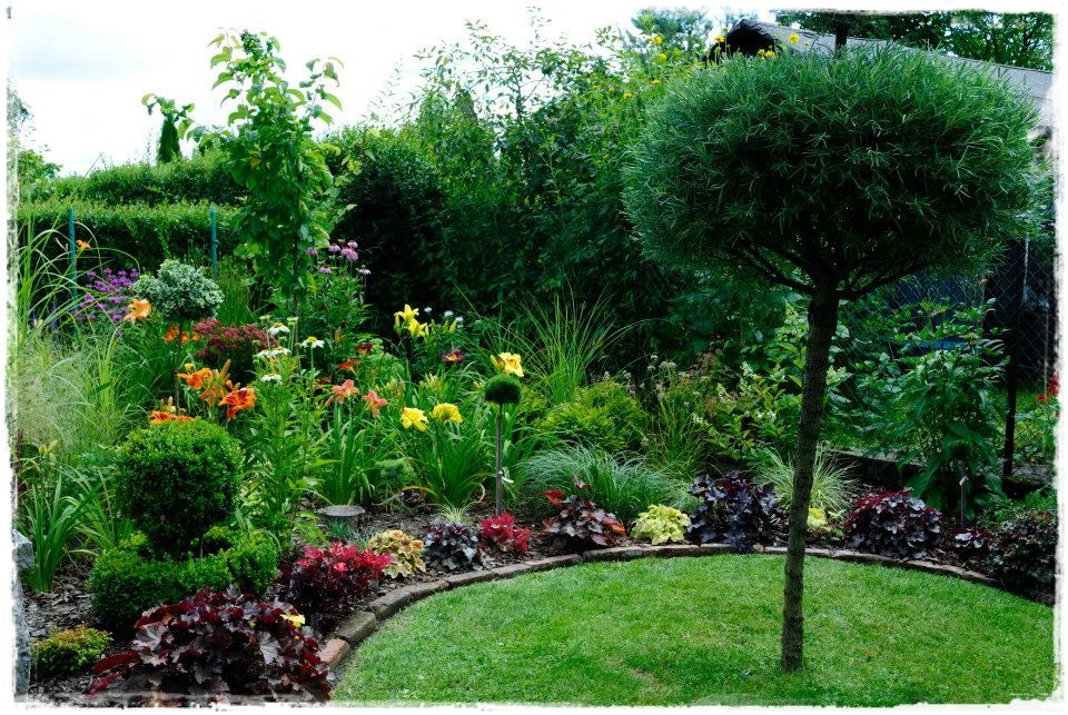 żurawki zogrodemnaty21