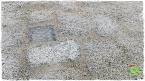 OGROD zogrodemnaty35