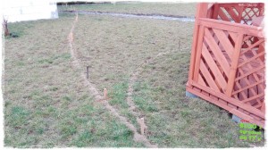 OGROD zogrodemnaty38