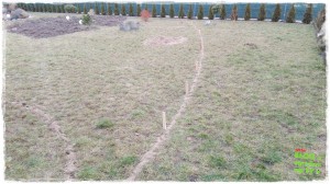 OGROD zogrodemnaty39