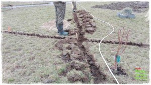 OGROD zogrodemnaty41