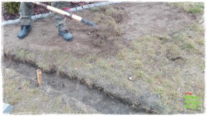 OGROD zogrodemnaty43