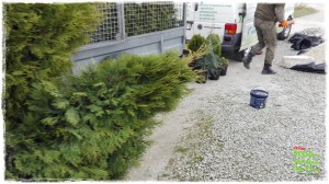 OGROD zogrodemnaty52