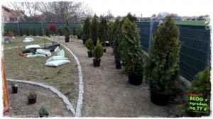 OGROD zogrodemnaty54