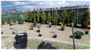 OGROD zogrodemnaty55