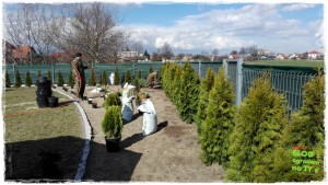 OGROD zogrodemnaty56