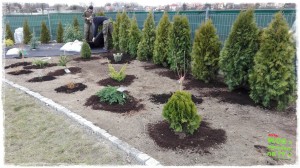 OGROD zogrodemnaty59