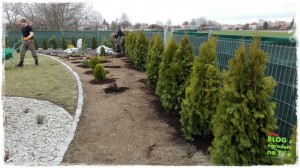 OGROD zogrodemnaty60