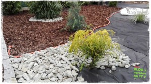 OGROD zogrodemnaty62