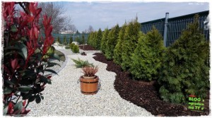 OGROD zogrodemnaty94