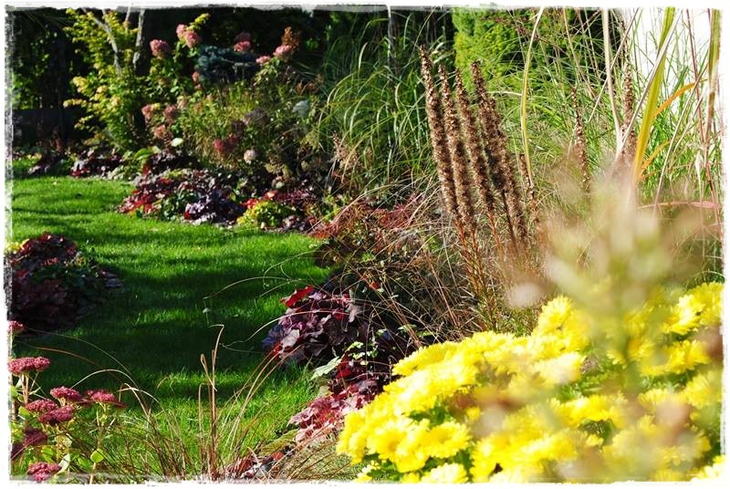 żurawki zogrodemnaty22