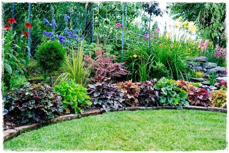 żurawki zogrodemnaty12