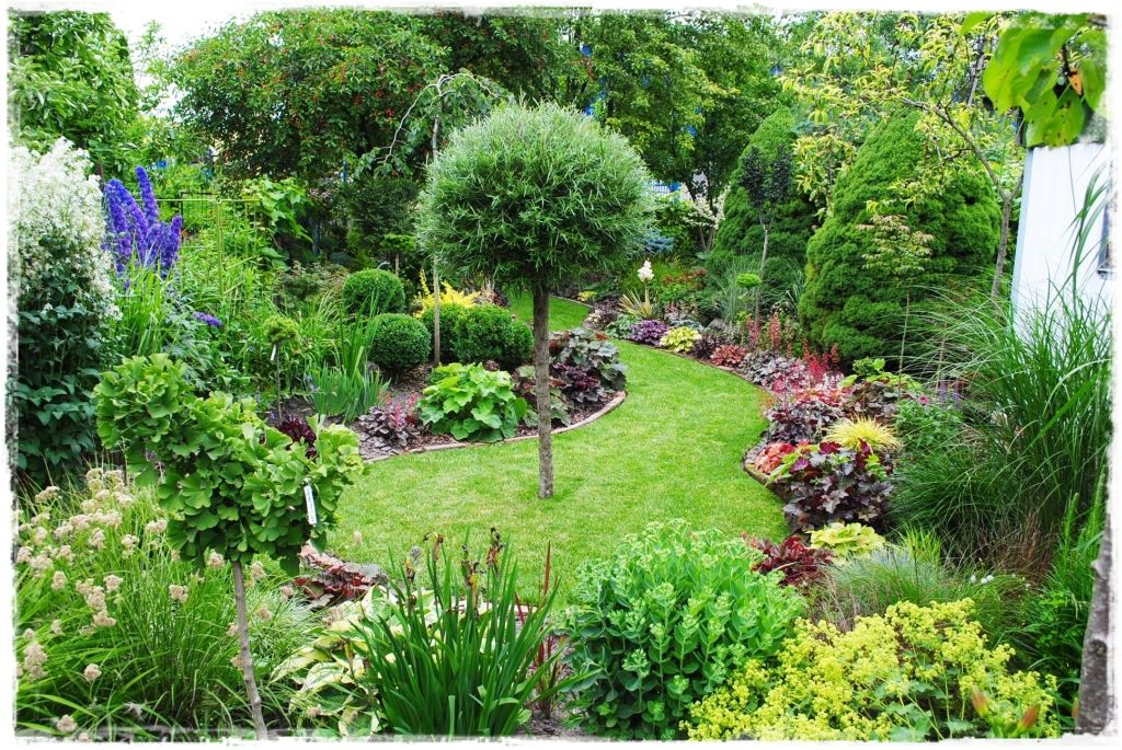 żurawki zogrodemnaty3