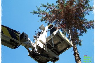 ece33fa9c0a66db18411d9fa7f0ad439