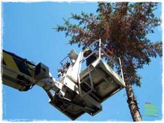 ece33fa9c0a66db18411d9fa7f0ad439