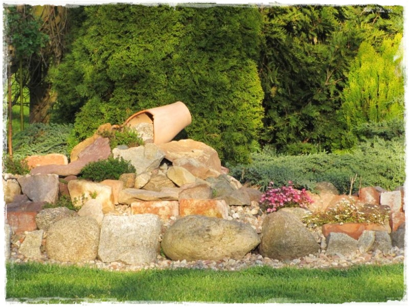 zioła w ogrodzie zogrodemnaty15