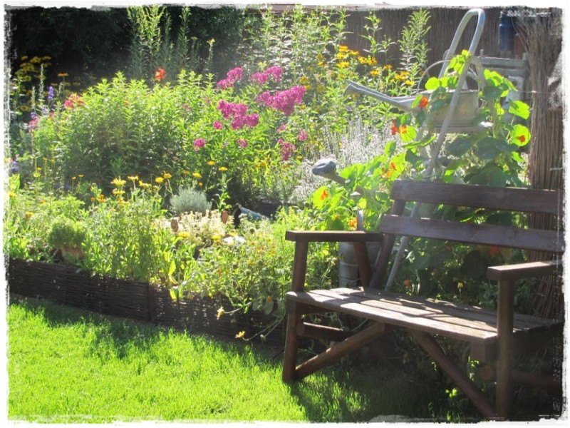 zioła w ogrodzie zogrodemnaty12