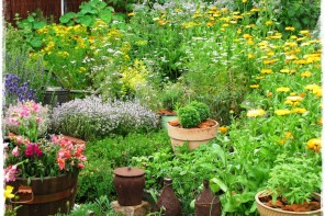 546fcf7f70983390a6cebb5df3983a8b