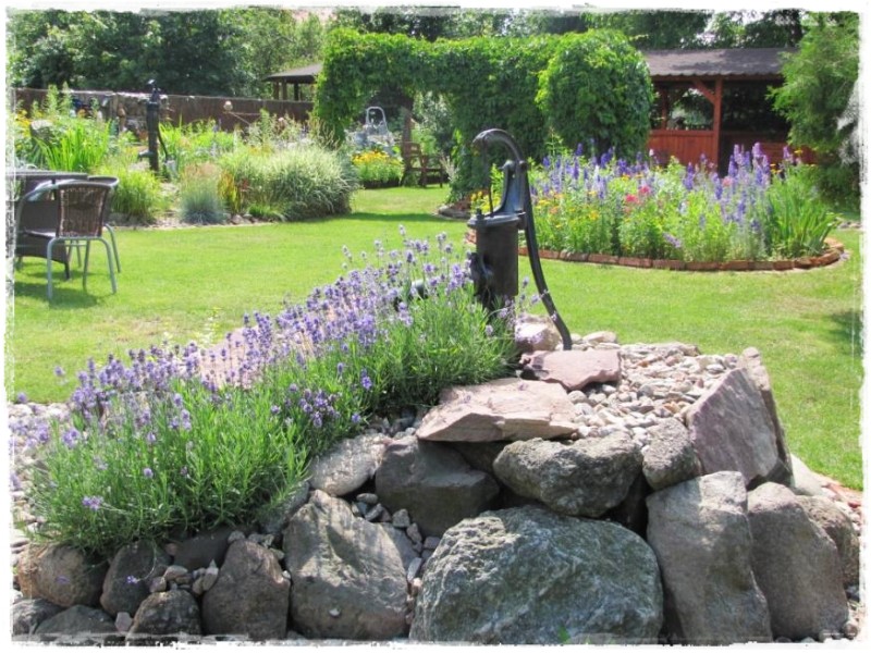 zioła w ogrodzie zogrodemnaty5