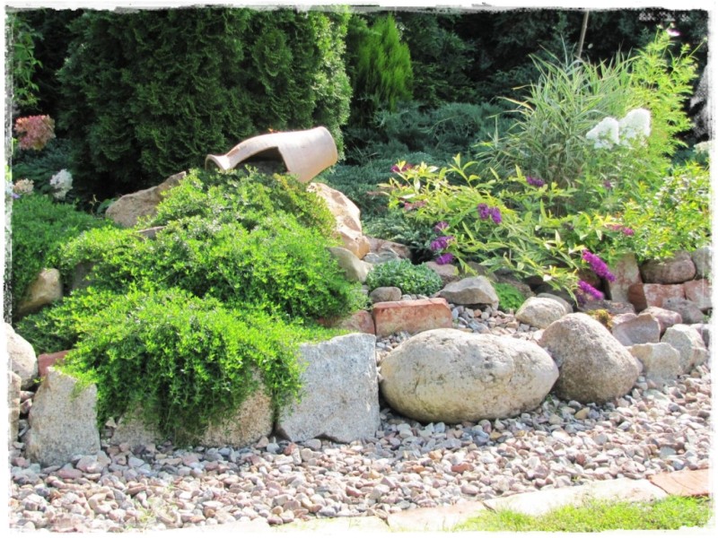 zioła w ogrodzie zogrodemnaty16