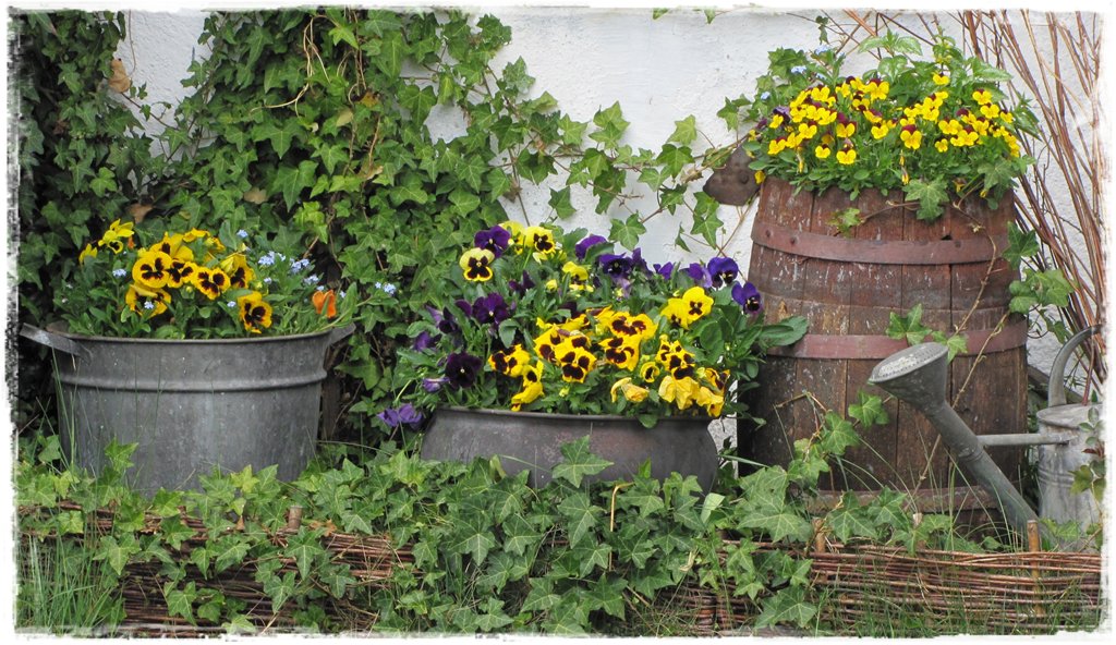 starocie w ogrodzie zogrodemnaty10