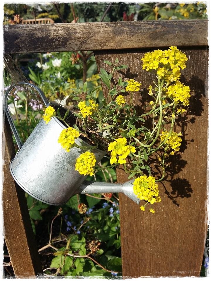 starocie w ogrodzie zogrodemnaty11