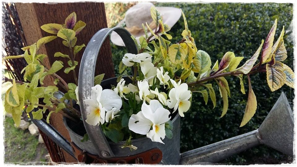 starocie w ogrodzie zogrodemnaty12