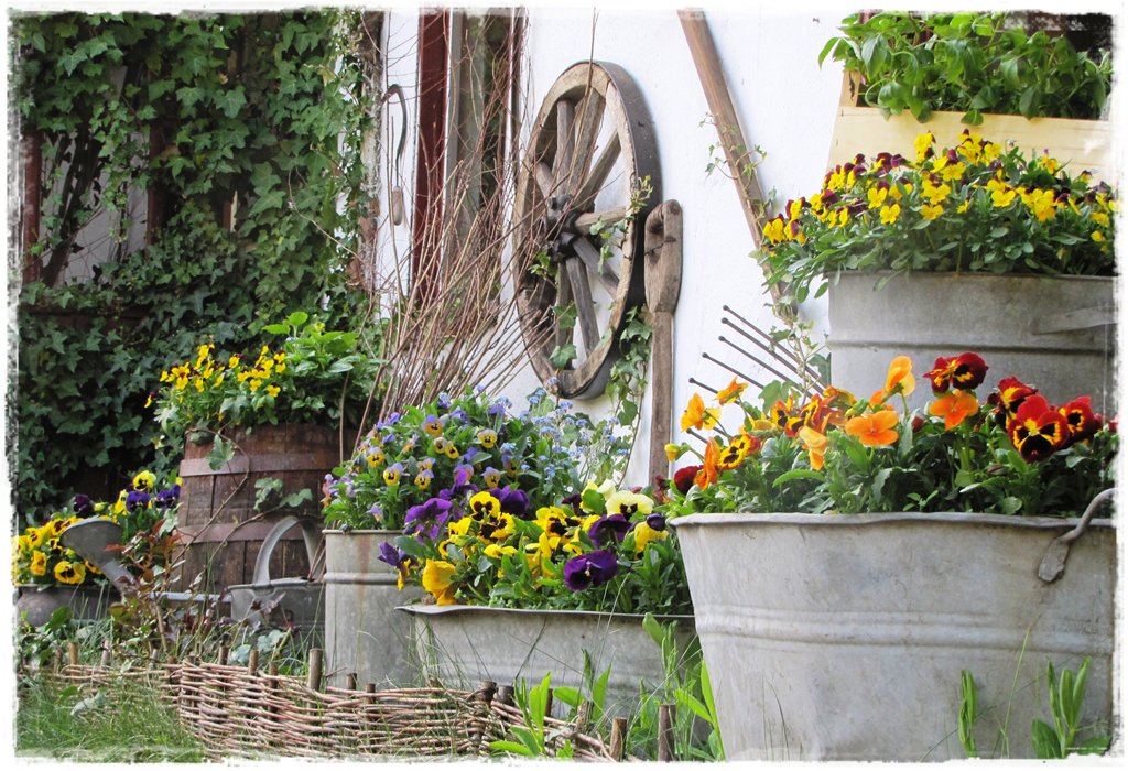 starocie w ogrodzie zogrodemnaty13