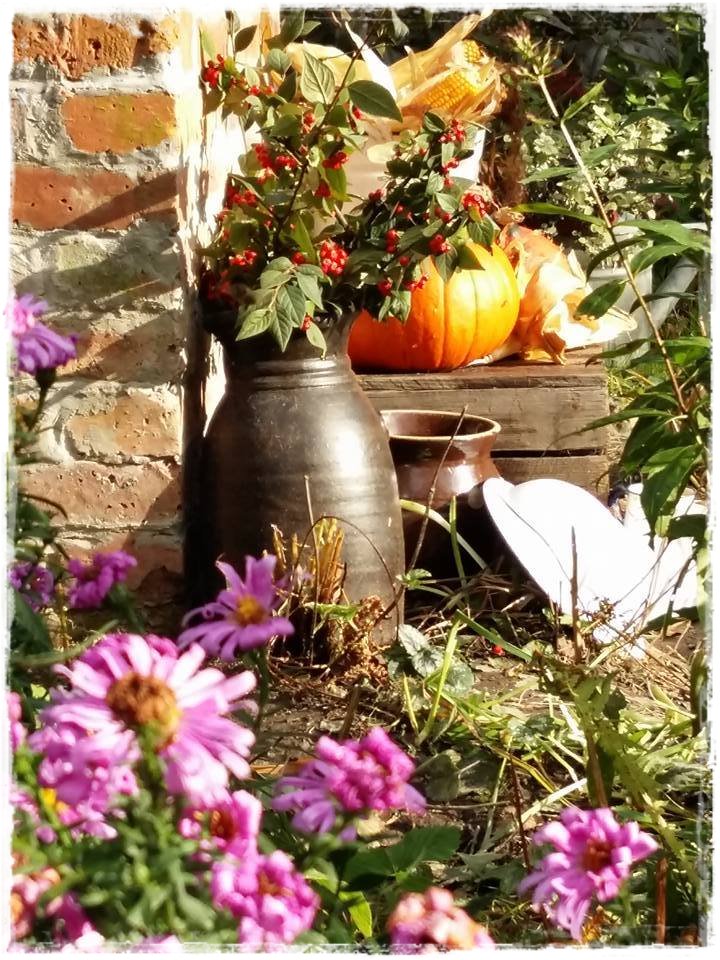 starocie w ogrodzie zogrodemnaty14