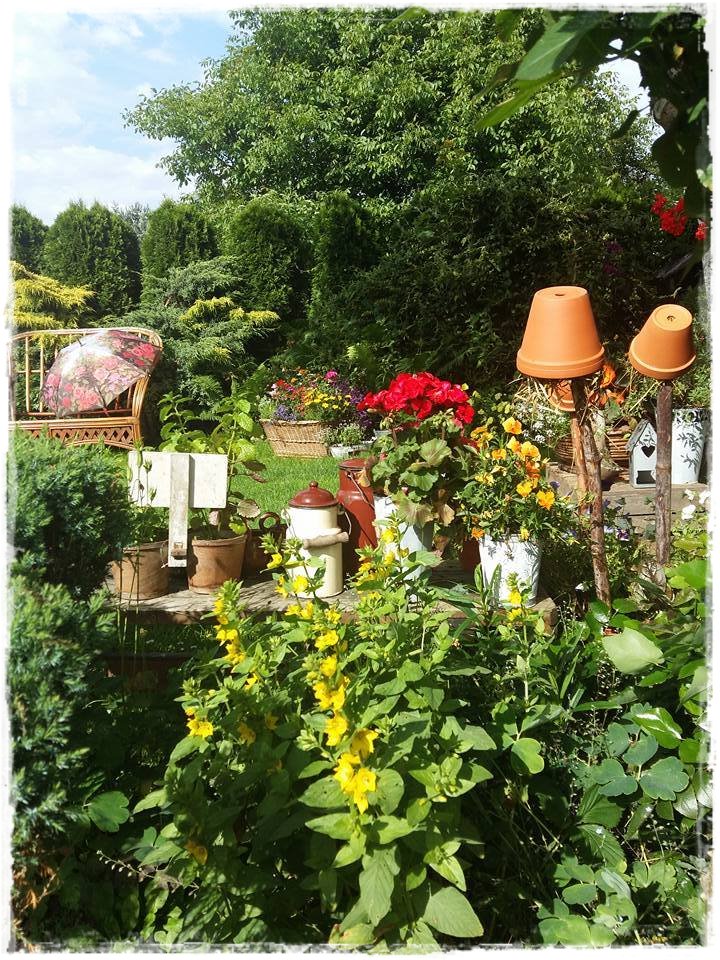 starocie w ogrodzie zogrodemnaty15