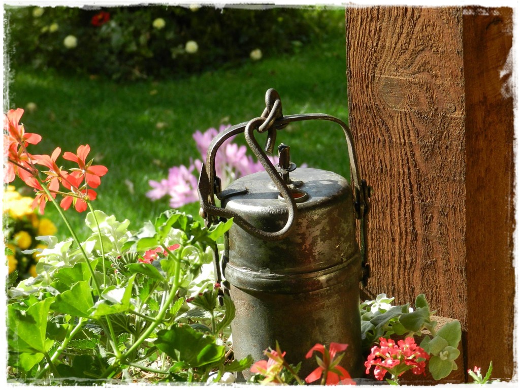 starocie w ogrodzie zogrodemnaty2